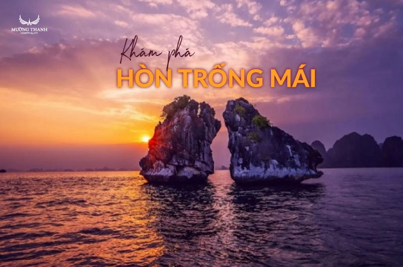 kham-pha-hon-trong-mai